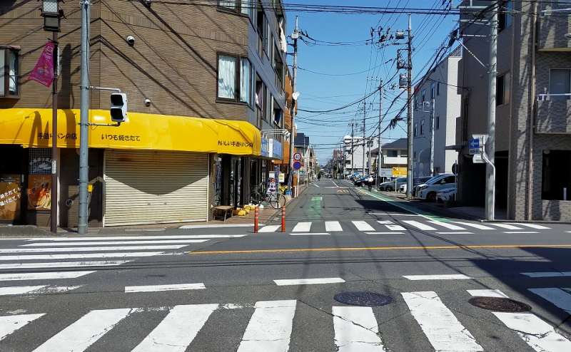 みずほ台駅徒歩4分の✨シャンデリアのある豪華なパーティールームのアクセス3