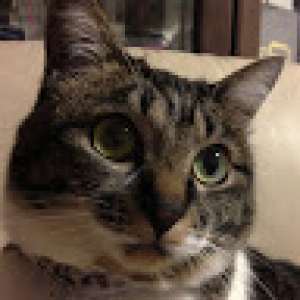 レンタルシェアサロン　ステーリア