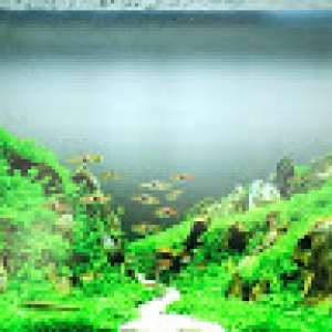 レンタルルーム Life Style Create